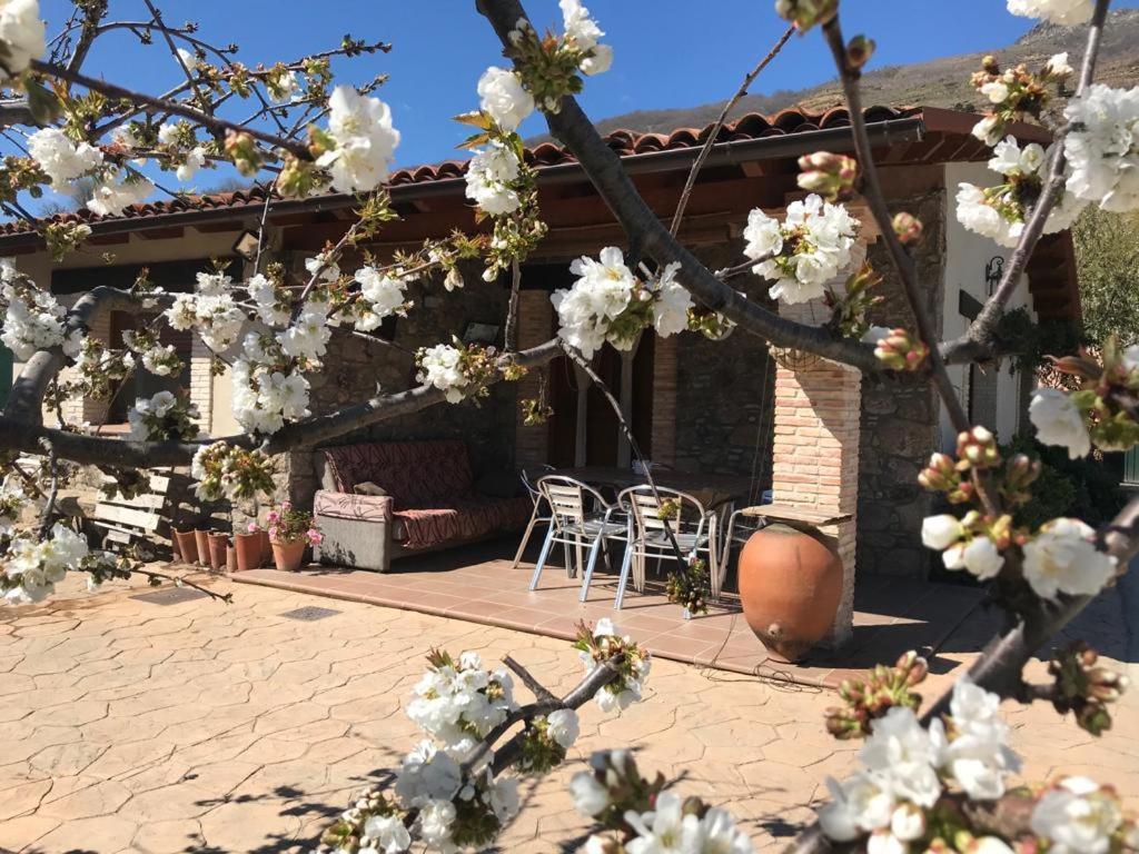 נבאקונסחו Casa Rural La Picotina מראה חיצוני תמונה