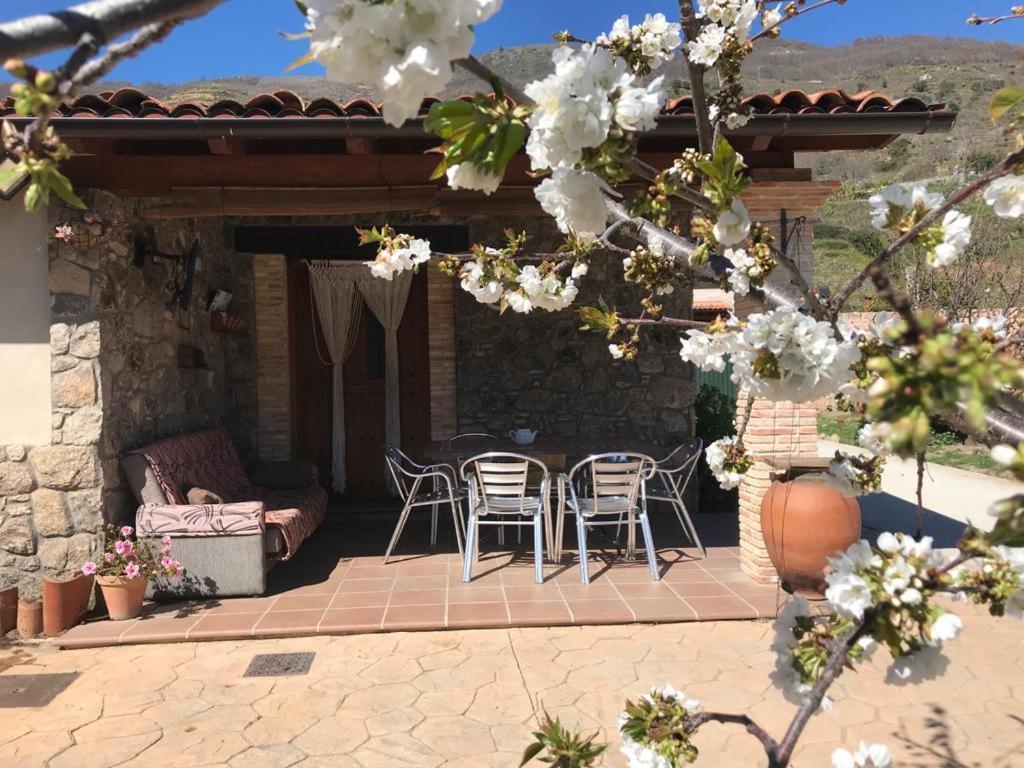נבאקונסחו Casa Rural La Picotina מראה חיצוני תמונה