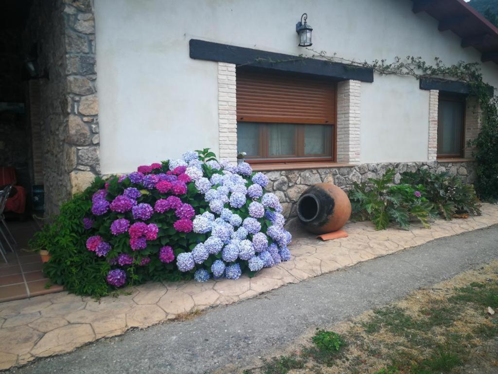 נבאקונסחו Casa Rural La Picotina מראה חיצוני תמונה
