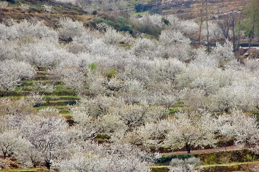 נבאקונסחו Casa Rural La Picotina מראה חיצוני תמונה